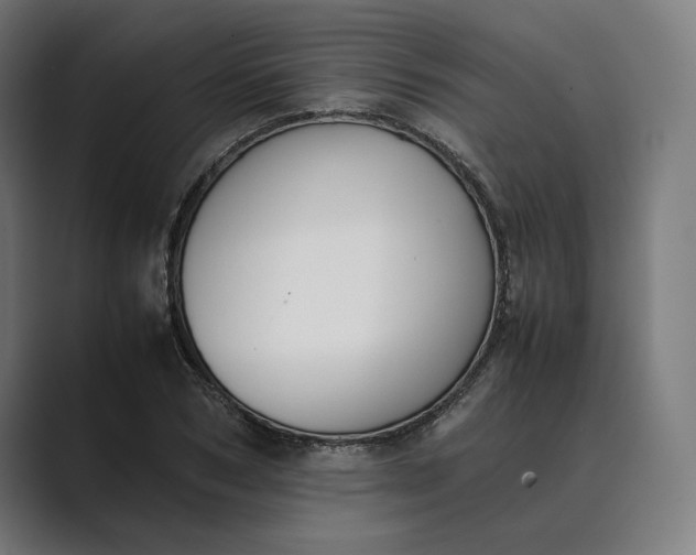 X0000089400978200706291404