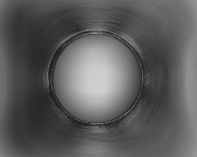 X0000089400980200706291404