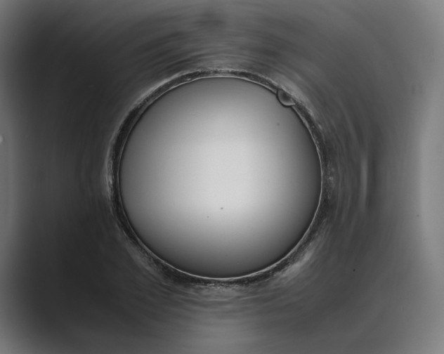 X0000089400981200706291404