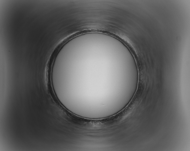 X0000089400983200706291404