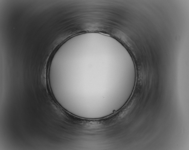 X0000089400986200706291404