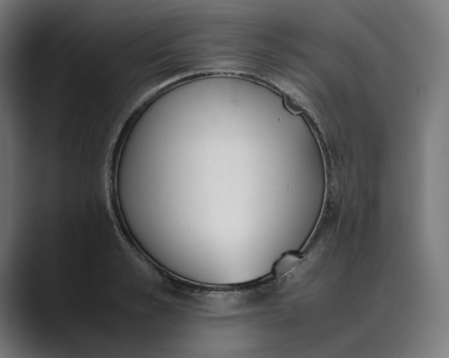 X0000089400989200706291404