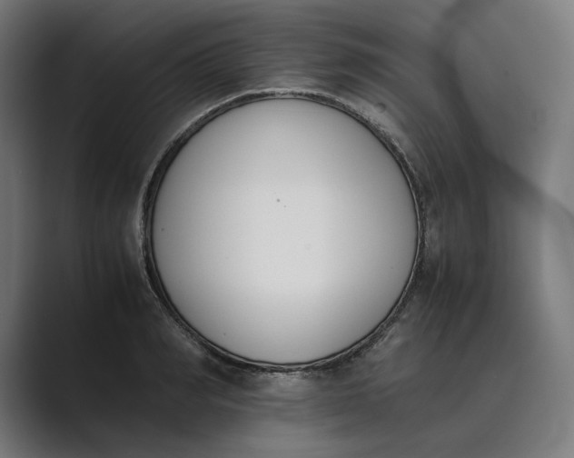 X0000089400990200706291404