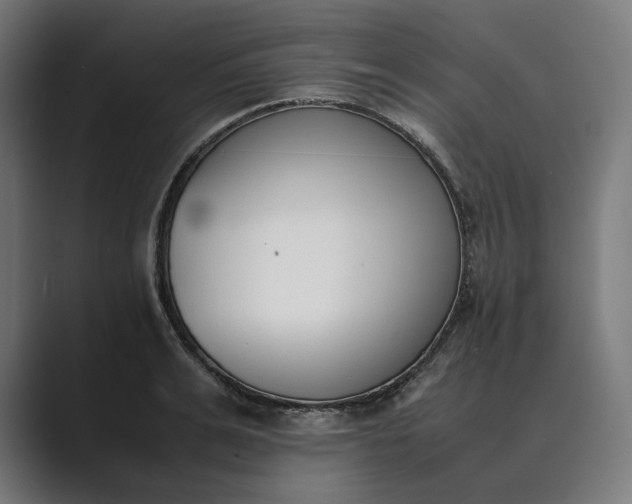 X0000089400991200706291404