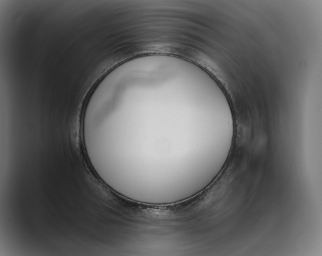 X0000089400994200706291404