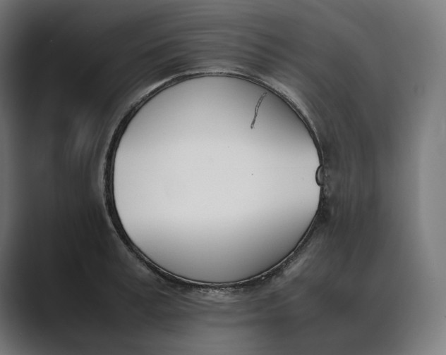 X0000089400995200706291404