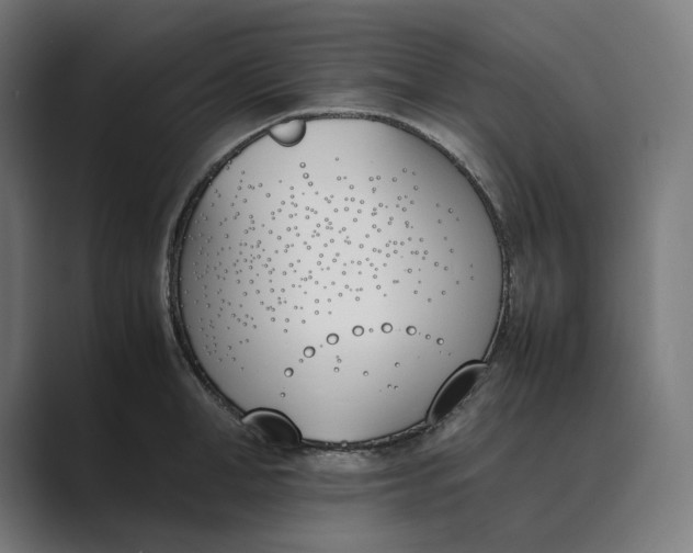 X0000089400998200706291404