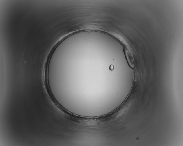 X0000089400999200706291404