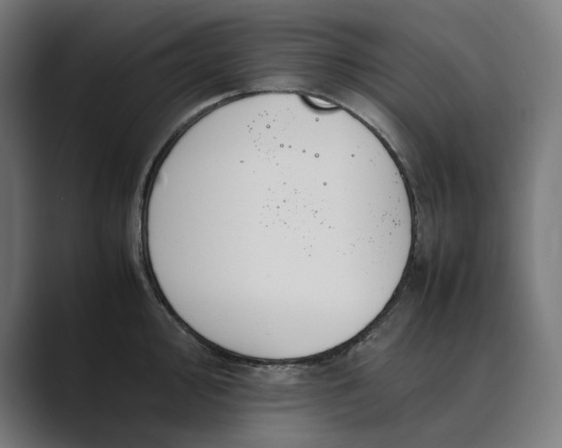 X0000089401000200706291404