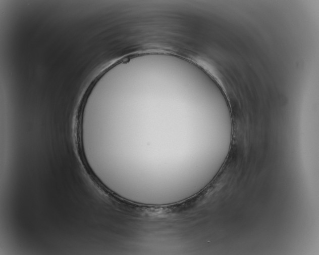 X0000089401003200706291404