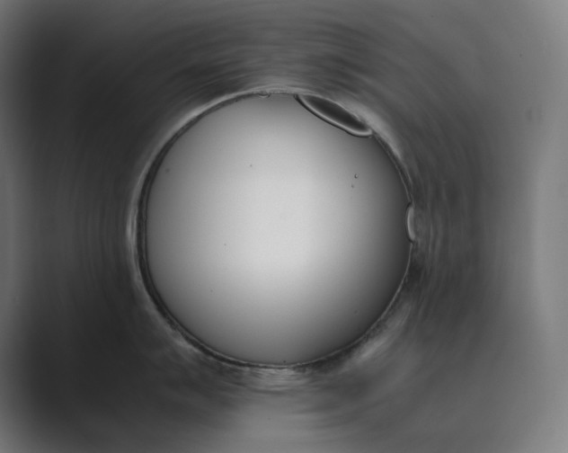 X0000089401007200706291404