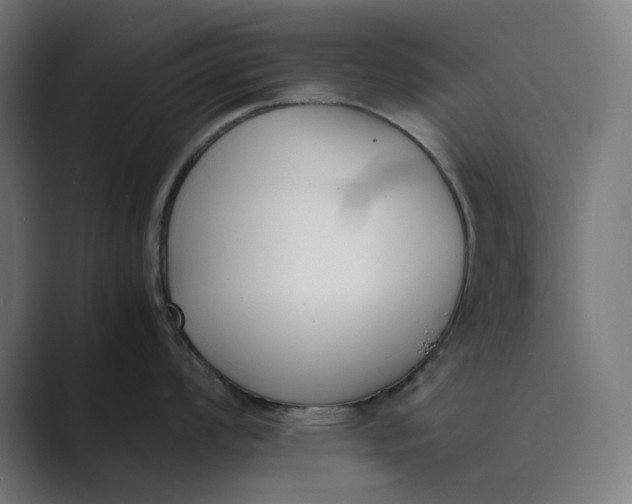 X0000089401008200706291404