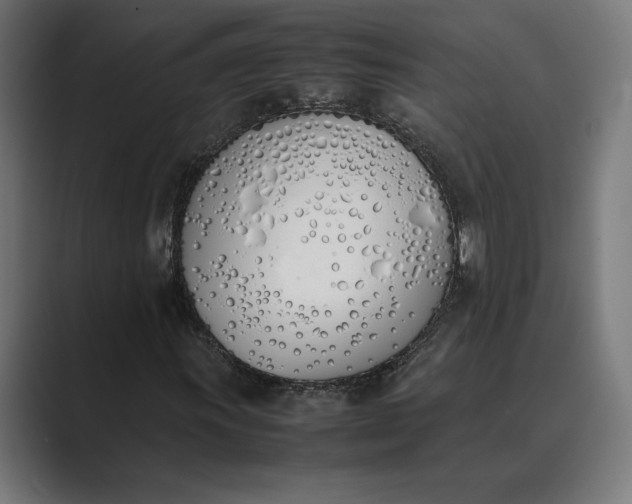 X0000089401011200706291403