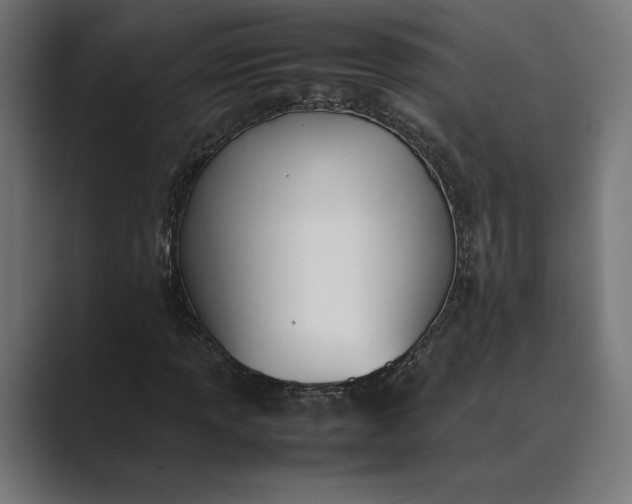 X0000089401013200706291403