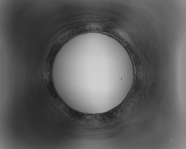 X0000089401015200706291403