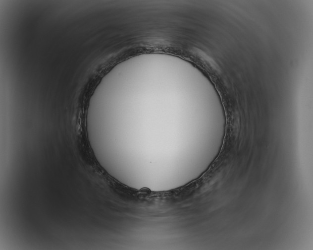 X0000089401016200706291403