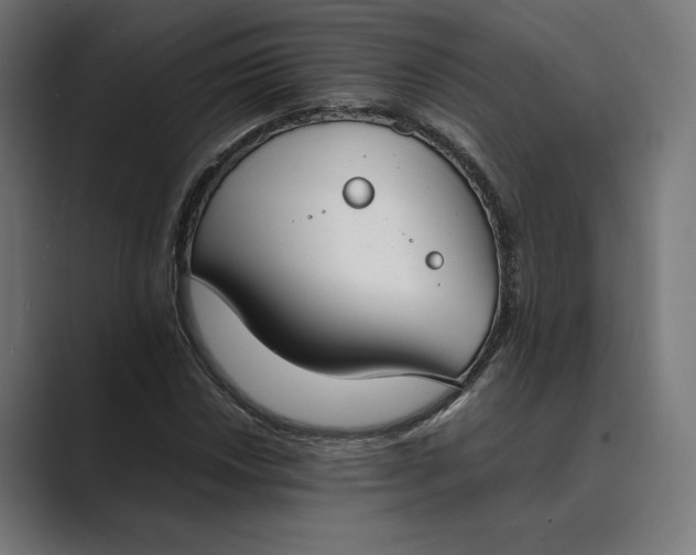 X0000089401018200706291403