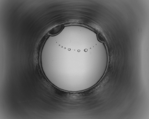 X0000089401019200706291403