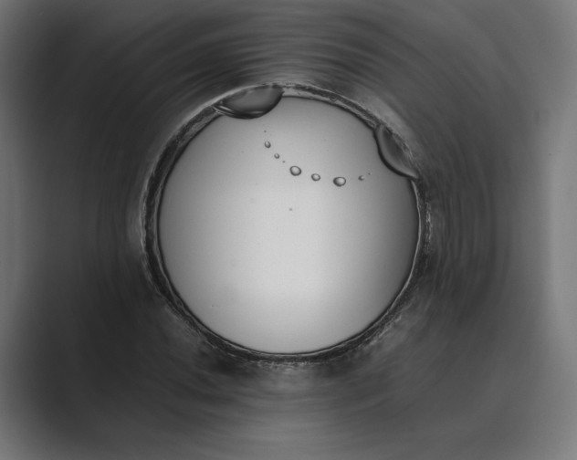 X0000089401020200706291403