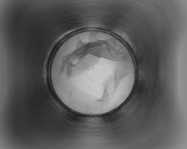 X0000089401024200706291403