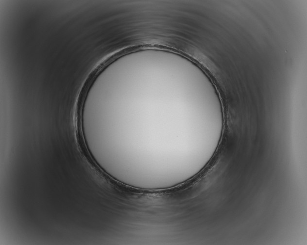 X0000089401028200706291403