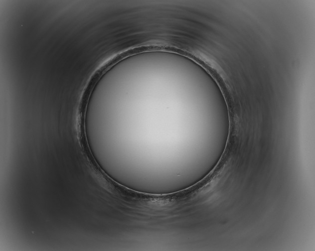 X0000089401029200706291403