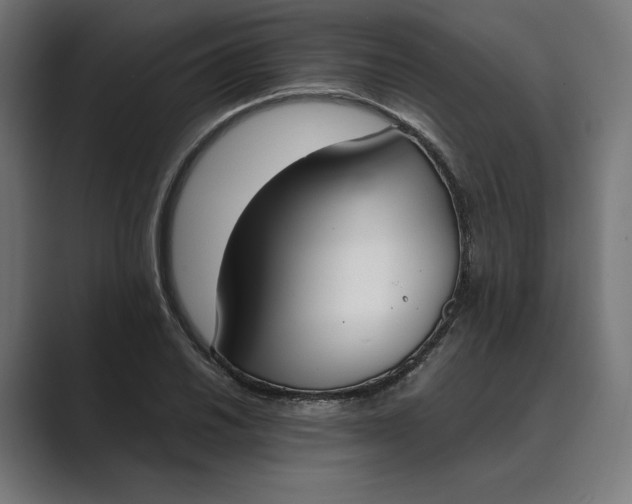 X0000089401030200706291403