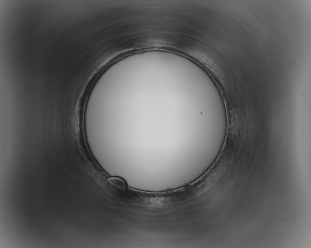 X0000089401031200706291403