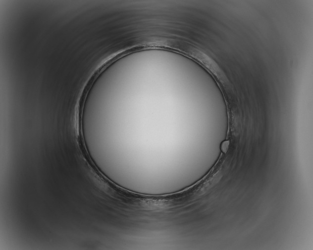 X0000089401036200706291403