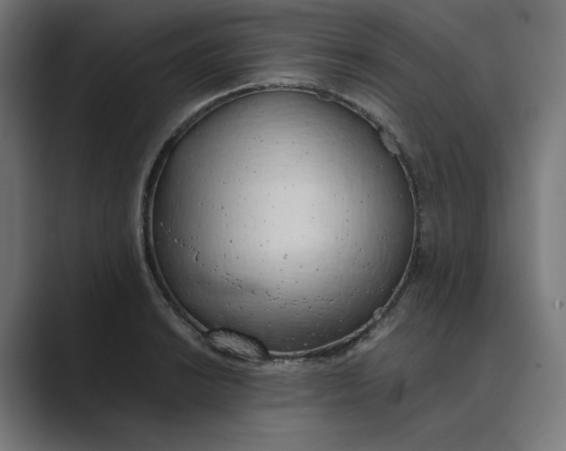 X0000089401038200706291403