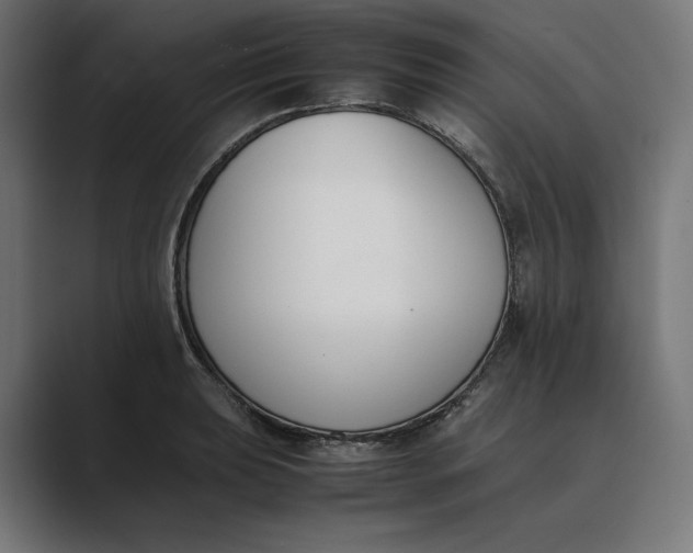 X0000089401039200706291403