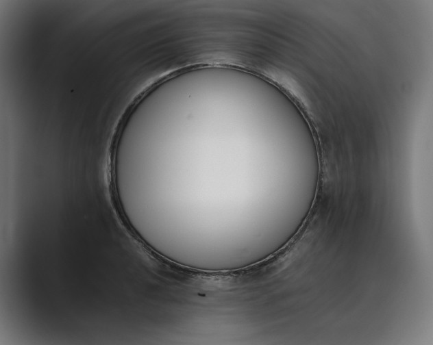 X0000089401040200706291403