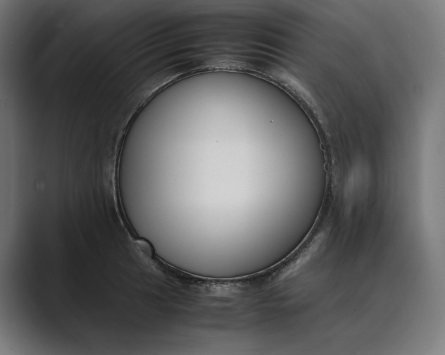 X0000089401041200706291403