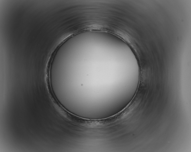 X0000089401042200706291403