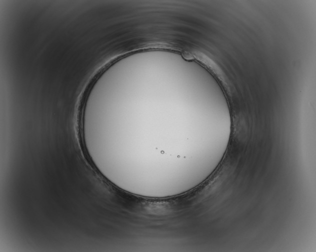 X0000089401043200706291403