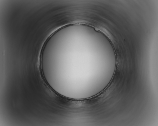 X0000089401044200706291403