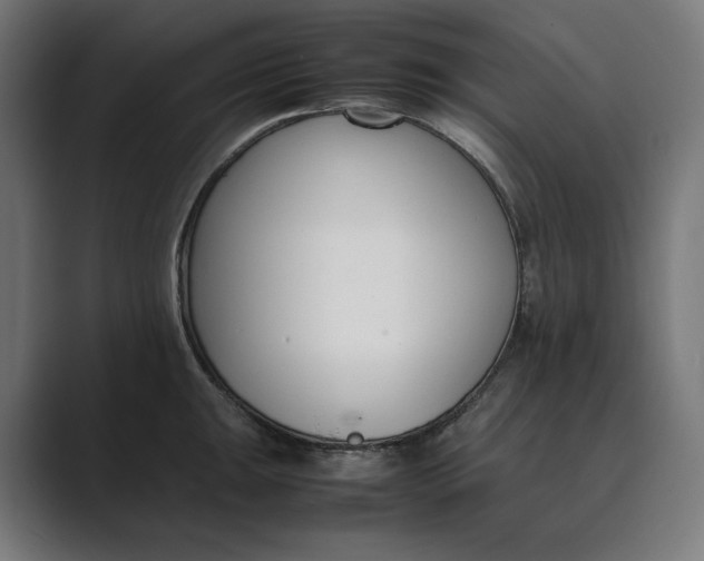 X0000089401047200706291404