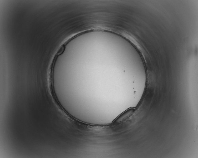 X0000089401048200706291404