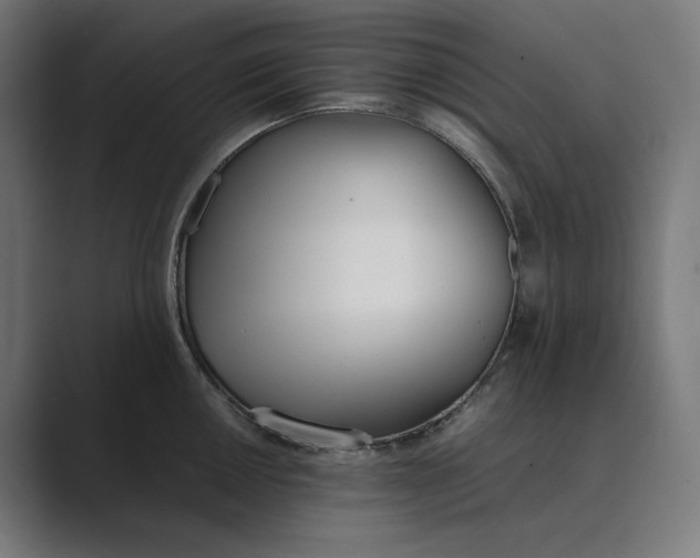 X0000089401050200706291404