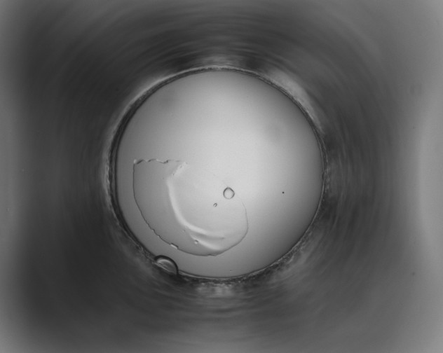 X0000089401051200706291404