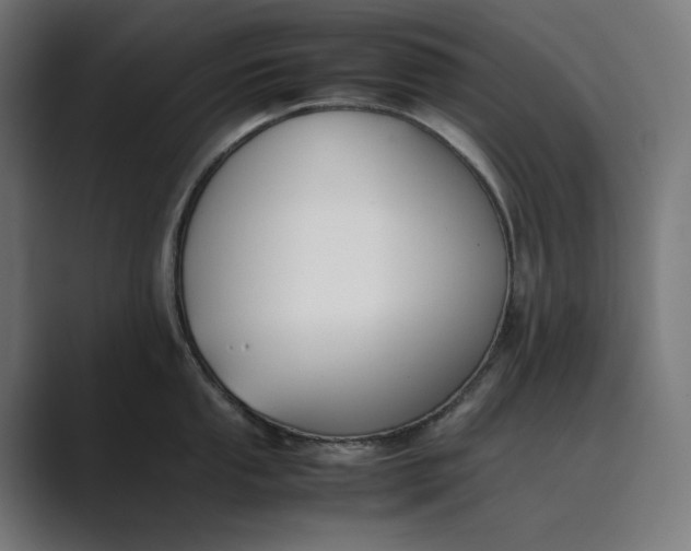 X0000089401053200706291404