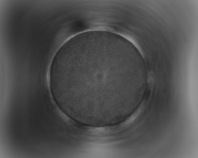 X0000089401054200706291404