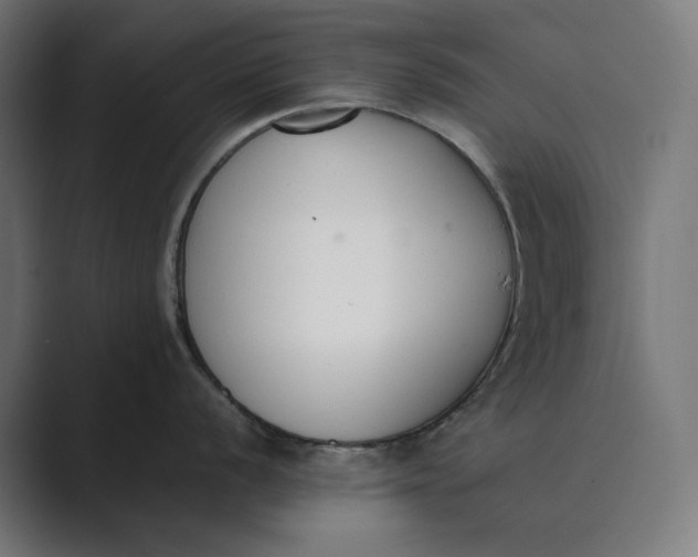 X0000089401056200706291404