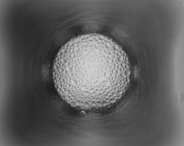 X0000089401059200706291403