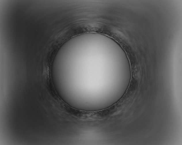 X0000089401061200706291403