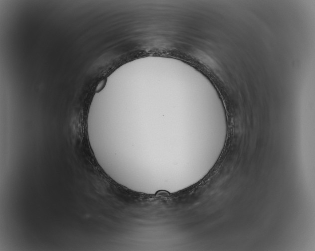 X0000089401063200706291403