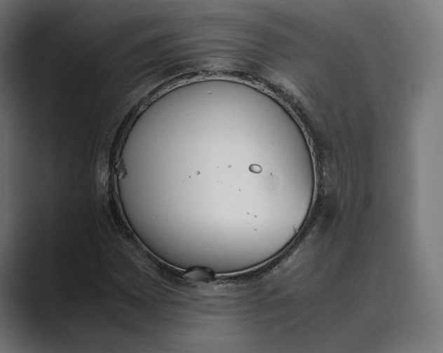 X0000089401065200706291403