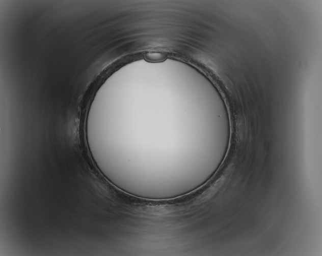 X0000089401066200706291403