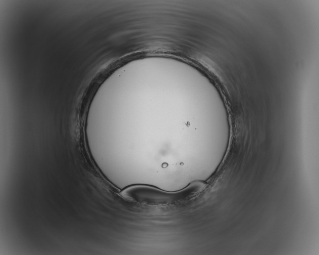 X0000089401067200706291403