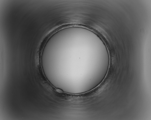 X0000089401069200706291403